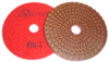 5-Step Monster Diamond Polishing Pads POS 2