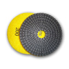 Diamond Polishing Pads 200 Grit 5