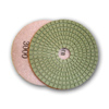 diamond polishing pad 300 grit 5